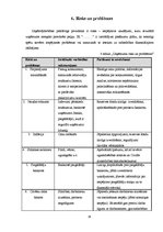 Biznesa plāns 'Biznesa plāns', 16.