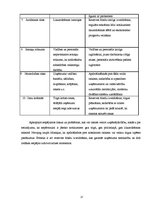 Biznesa plāns 'Biznesa plāns', 17.