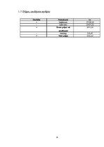 Biznesa plāns 'Biznesa plāns', 19.