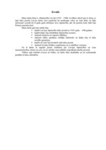 Referāts 'Rūpniecība Latvijā (1918.-1940.)', 3.