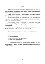 Referāts 'Interneta reklāma un tās psiholoģiskie aspekti', 2.