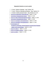 Referāts 'Interneta reklāma un tās psiholoģiskie aspekti', 14.