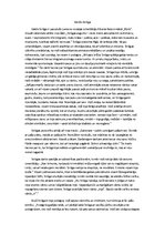 Eseja 'Valda Strūgas tēla raksturojums A.Bela romānā "Būris"', 1.