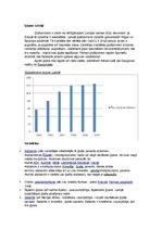 Konspekts 'Ģipsis, ģipšakmens', 3.