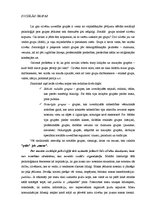 Konspekts 'Sociālās grupas', 1.