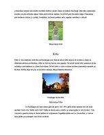 Prezentācija 'Būvju rekonstrukcija un restaurācija', 8.