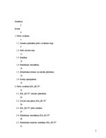 Referāts 'Preču virzīšanas pasākumi SIA "Elvi"', 3.