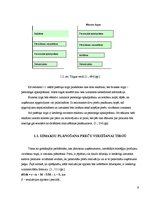 Referāts 'Preču virzīšanas pasākumi SIA "Elvi"', 9.