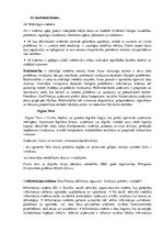 Konspekts 'Informācijas tehnoloģijas', 4.