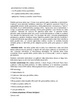 Konspekts 'Informācijas tehnoloģijas', 10.