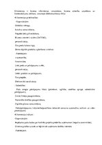 Konspekts 'Informācijas tehnoloģijas', 13.