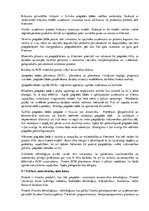 Konspekts 'Informācijas tehnoloģijas', 16.