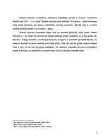 Referāts 'Tiesisko darījumu iztulkošana', 5.