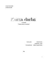 Referāts 'Tiesisko darījumu iztulkošana', 16.