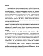 Referāts 'Eiropas Savienības un Krievijas attiecību ekonomiskie aspekti: tirdzniecība, inv', 3.