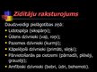 Prezentācija 'Zīdītāju klase', 5.