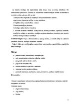 Referāts 'Karlo Goldoni teātris', 11.