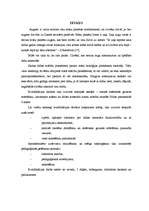 Referāts 'Estētiskās gaumes attīstīšana caur aušanu no dabas materiāliem', 1.