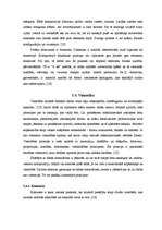 Referāts 'Estētiskās gaumes attīstīšana caur aušanu no dabas materiāliem', 27.