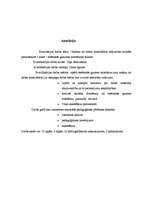 Referāts 'Estētiskās gaumes attīstīšana caur aušanu no dabas materiāliem', 41.