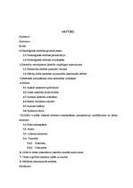 Referāts 'Estētiskās gaumes attīstīšana caur aušanu no dabas materiāliem', 43.