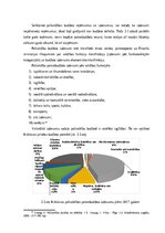 Referāts 'Krāslavas novada pašvaldības budžeta analīze', 15.