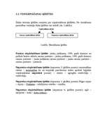 Konspekts 'Domāšana un valoda', 3.