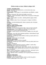 Konspekts 'Kultūru teorija un vēsture. Jēdzieni, atslēgas vārdi', 1.