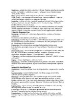 Konspekts 'Kultūru teorija un vēsture. Jēdzieni, atslēgas vārdi', 2.