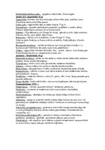 Konspekts 'Kultūru teorija un vēsture. Jēdzieni, atslēgas vārdi', 3.