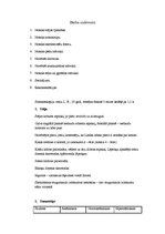 Paraugs 'Somatoskopija', 2.