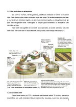 Referāts 'IP kameru un digitālās video novērošanas sistēmu piedāvātās iespējas', 6.