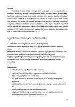 Referāts 'IP kameru un digitālās video novērošanas sistēmu piedāvātās iespējas', 13.