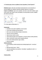Referāts 'IP kameru un digitālās video novērošanas sistēmu piedāvātās iespējas', 16.