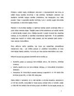 Diplomdarbs 'Masu informācijas līdzekļu loma citas etniskas grupas tēla veidošanā', 5.