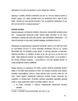 Diplomdarbs 'Masu informācijas līdzekļu loma citas etniskas grupas tēla veidošanā', 44.