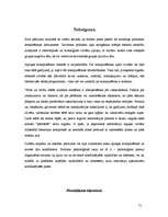 Diplomdarbs 'Masu informācijas līdzekļu loma citas etniskas grupas tēla veidošanā', 71.