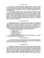 Referāts 'SIA ‘’Atoloja’’ produktu tirgus analīze', 10.