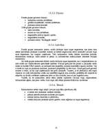 Referāts 'SIA ‘’Atoloja’’ produktu tirgus analīze', 19.