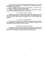 Referāts 'SIA ‘’Atoloja’’ produktu tirgus analīze', 25.