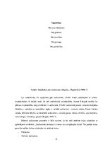 Referāts 'Pedagogu komandas sadarbība 3 - 4 gadus vecu bērnu saskarsmes prasmju sekmēšanai', 8.