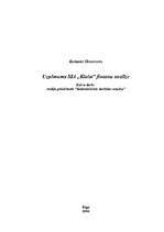 Referāts 'Uzņēmuma SIA "Rialat" finanšu analīze', 1.