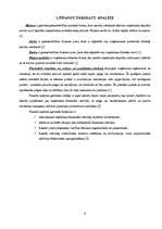 Referāts 'Uzņēmuma SIA "Rialat" finanšu analīze', 4.