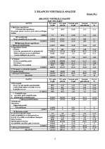 Referāts 'Uzņēmuma SIA "Rialat" finanšu analīze', 5.