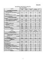 Referāts 'Uzņēmuma SIA "Rialat" finanšu analīze', 7.