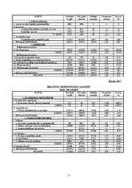 Referāts 'Uzņēmuma SIA "Rialat" finanšu analīze', 11.