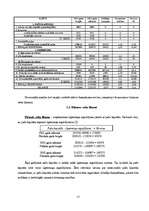 Referāts 'Uzņēmuma SIA "Rialat" finanšu analīze', 12.