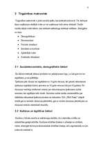 Referāts 'Tirgzinības plāns SIA "ERA Nami"', 6.