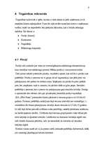 Referāts 'Tirgzinības plāns SIA "ERA Nami"', 9.