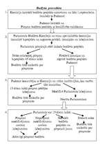 Konspekts 'Budžeta procedūra', 1.